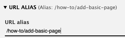 A screenshot of the url options showing an example of how to write an alias like /about/how-to