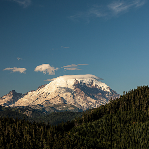 Mt. Rainier