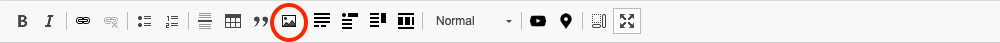 The editor bar showing many editing icons with the image icon circled in red